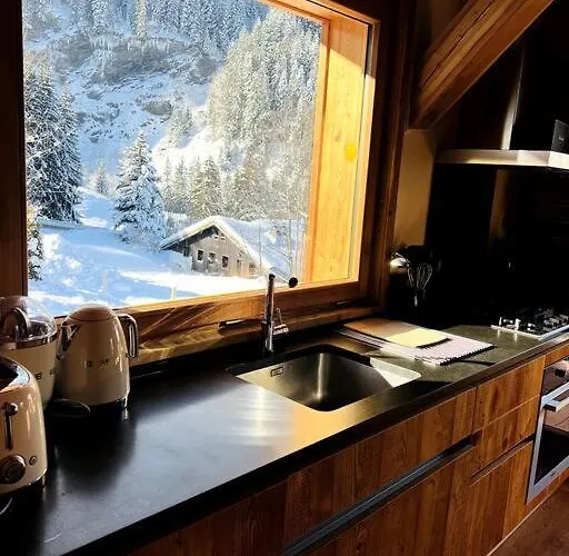 度假居 Dans De Luxe 梅杰夫